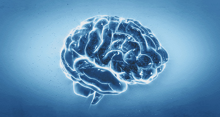 Miniatura do v&iacute;deo Introdu&ccedil;&atilde;o