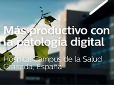 V&iacute;deo de Granada