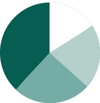 Imagem do gr&aacute;fico circular