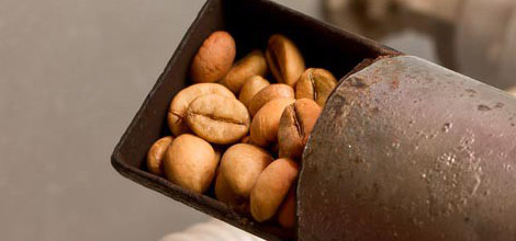 Gr&atilde;os torrados - torras mais escuras t&ecirc;m menos cafe&iacute;na