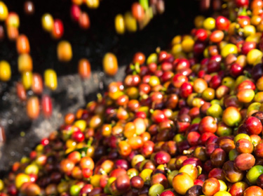 Via h&uacute;mida para caf&eacute;