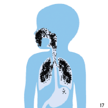 M&aacute;scara com veda&ccedil;&atilde;o adequada