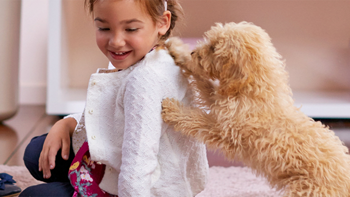 Como limpar um tapete: simples passos