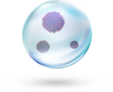 Bioaeross&oacute;is 9&nbsp;m&iacute;crones