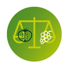 Frutas e legumes