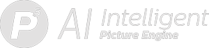 Log&oacute;tipo Picture Engine